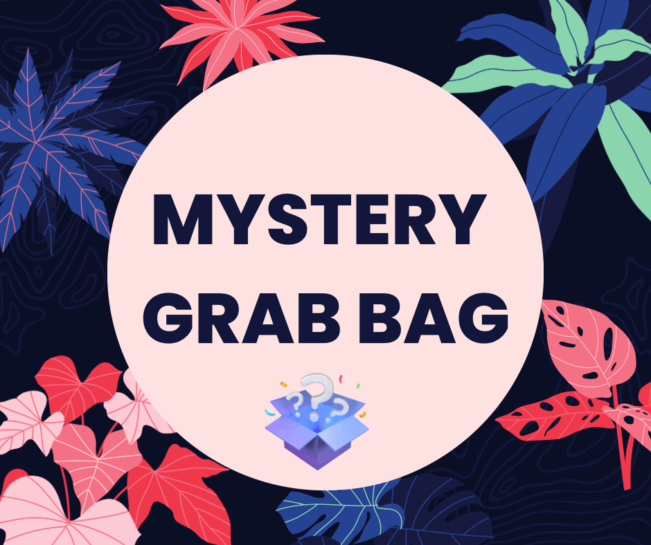 Mystery Grab Bags