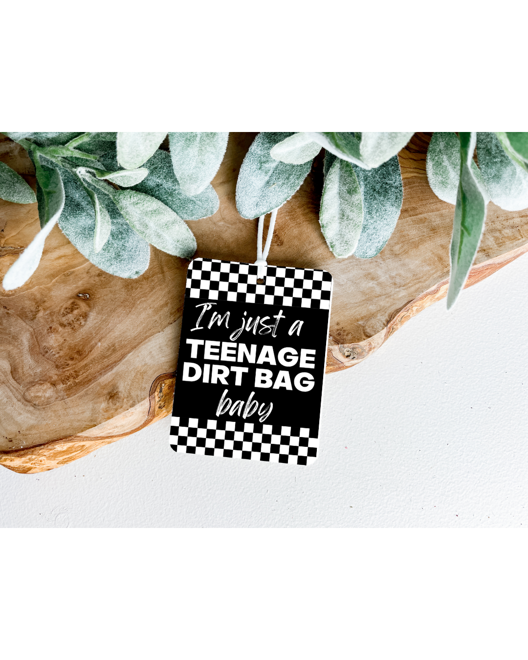 Teenage Dirt Bag